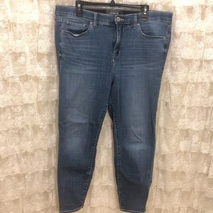Torrid Denim Premium Skinny Jeans Size 18S